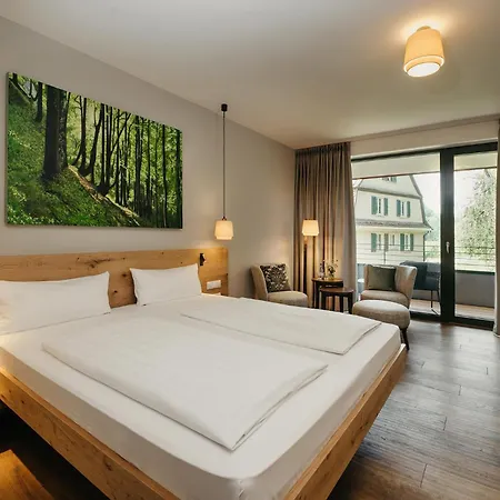 Hofgut Farny Ξενοδοχείο 4*